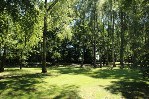 Zacieniony trawnik od drzew w parku przy pałacu w Kobylnikach widziany w dzień.